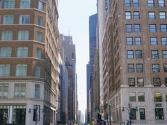 -Lady M Cake Boutique(麦迪逊大道店)