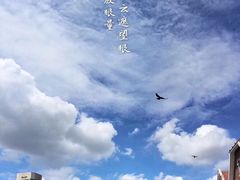 -天津津利华酒店