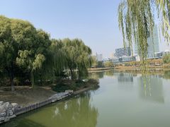 -大兴滨河森林公园