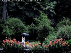 -桤木河湿地公园