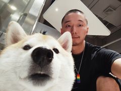 -柴务处·柴犬主题狗咖