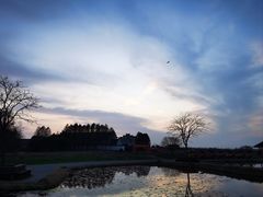 -宁波杭州湾国家湿地公园