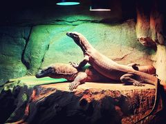 -济南野生动物世界