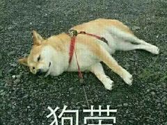 -无招牌