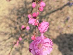 -太阳宫公园