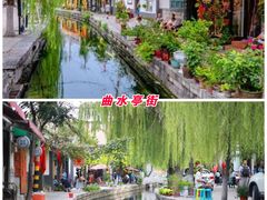 -趵突泉景区