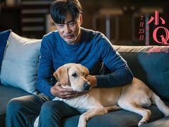 -天幕新彩云国际影城(激光巨幕店)