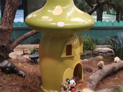 -佛冈森波拉度假区