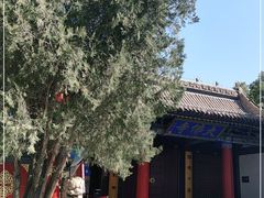 -张掖大佛寺景区