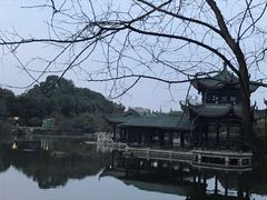 -桂湖森林公园