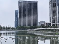 -映月湖中央公园