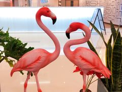 餐具摆设-随心小姐