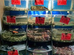 水产区-北戴河庆山饭店·海鲜砂锅粥(北戴河黑石路店)