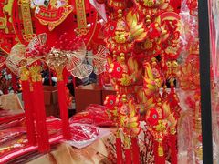 -越秀西湖花市(广州城市广场花卉店)