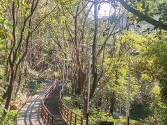 -水濂山森林公园