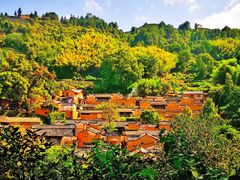 -杨家堂村