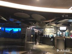 -百美汇影城(LUXE嘉里中心店)