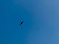 -鼎泰丰(德基广场店)