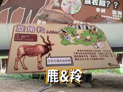 -广州动物园