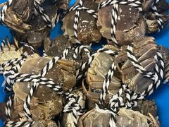 大闸蟹-江杨农产品批发市场