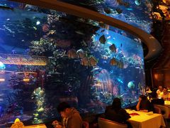 -迪拜帆船酒店海底餐厅