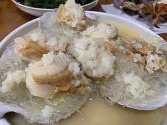 扇贝-王四营海鲜市场
