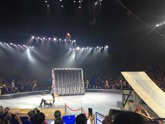 -珠海横琴长隆《卡卡虎奇遇记》