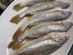 -木柴豆腐·活海鲜·鲁菜(岚山路店)