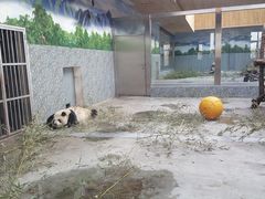 -西安秦岭野生动物园