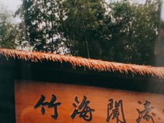 -宁波浙东大竹海景区