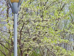 -天津东丽湖风景区