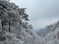 -黄山风景区