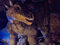 -寻龙山风景旅游区