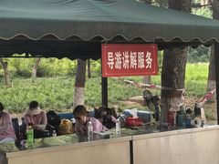 -黄河小浪底水利枢纽风景区