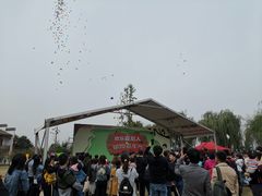 -鹅湖玫瑰文化园