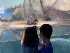 -福州罗源湾海洋世界旅游区