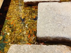 -邈墨茶馆(凤起路店)