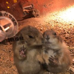 -酷嗒动物文化乐园(cutezoo西溪乐天城店)