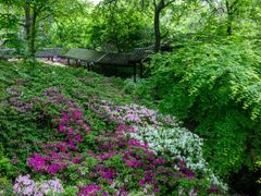 -惠山古镇·寄畅园