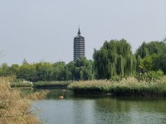 -西海子公园