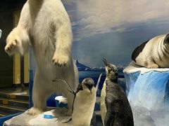 -国家自然博物馆