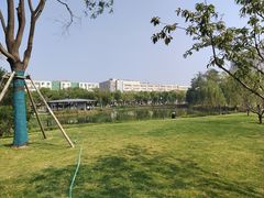 -咸阳湖景区-古渡公园