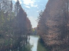 -厦门园林博览苑