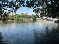 -荔湾湖公园