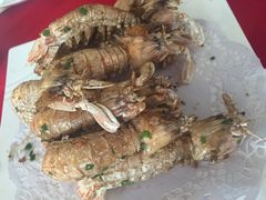 赖尿虾-莆鑫海鲜城(浏河店)