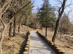 -白水寺森林公园
