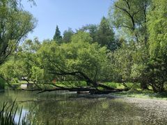 -共青国家森林公园-南大门停车场