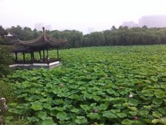 iphone_upload_pic-蠡湖大桥公园