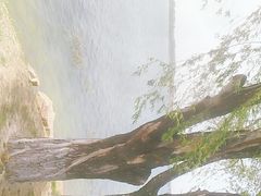 -丁香湖公园
