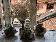 -蝶舍·MAISON PAPILLON